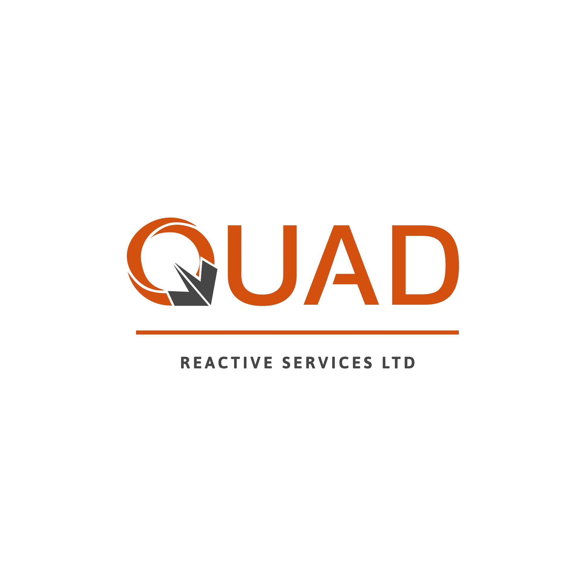 quad reactive logo professional website design